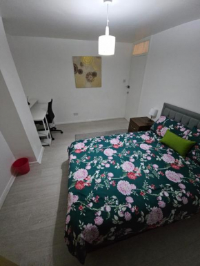 Spacious Double room 2